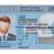 169Bbe Ontario Drivers License Template | Wiring Library Regarding Blank Drivers License Template