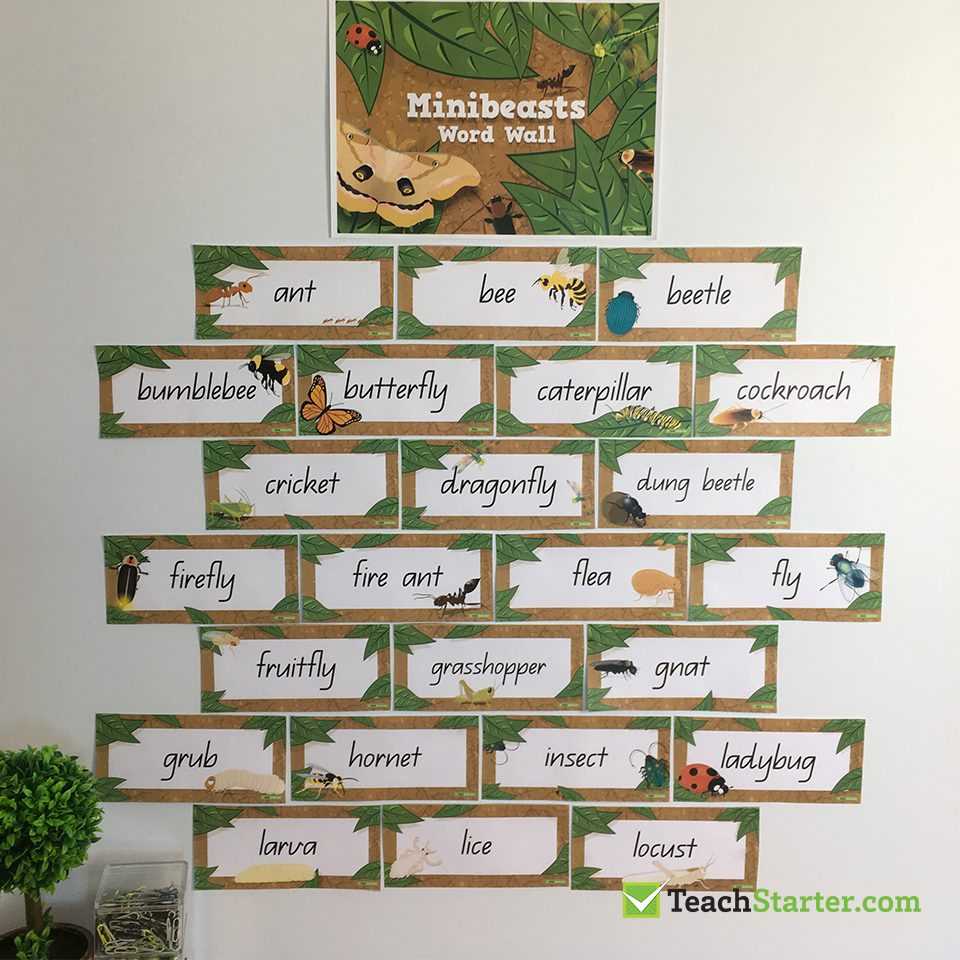 27 Practical Word Wall Ideas For The Classroom | Teach Starter Within Blank Word Wall Template Free