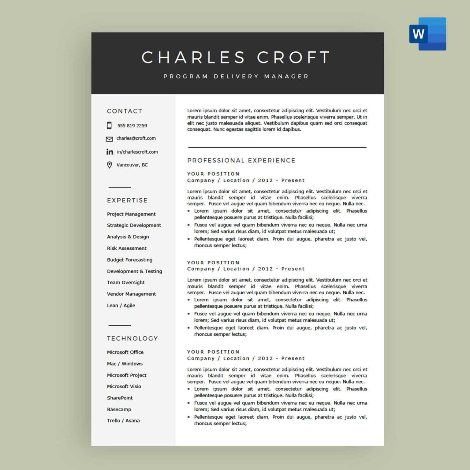 download cv template ms word