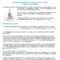 6+ Ceo Report Templates – Pdf | Free & Premium Templates Inside Monthly Board Report Template