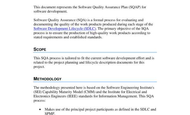 9+ Software Quality Assurance Plan Examples - Pdf | Examples with Software Quality Assurance Report Template