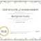 Achievement Award Certificate Template - Dalep.midnightpig.co intended for Blank Certificate Of Achievement Template