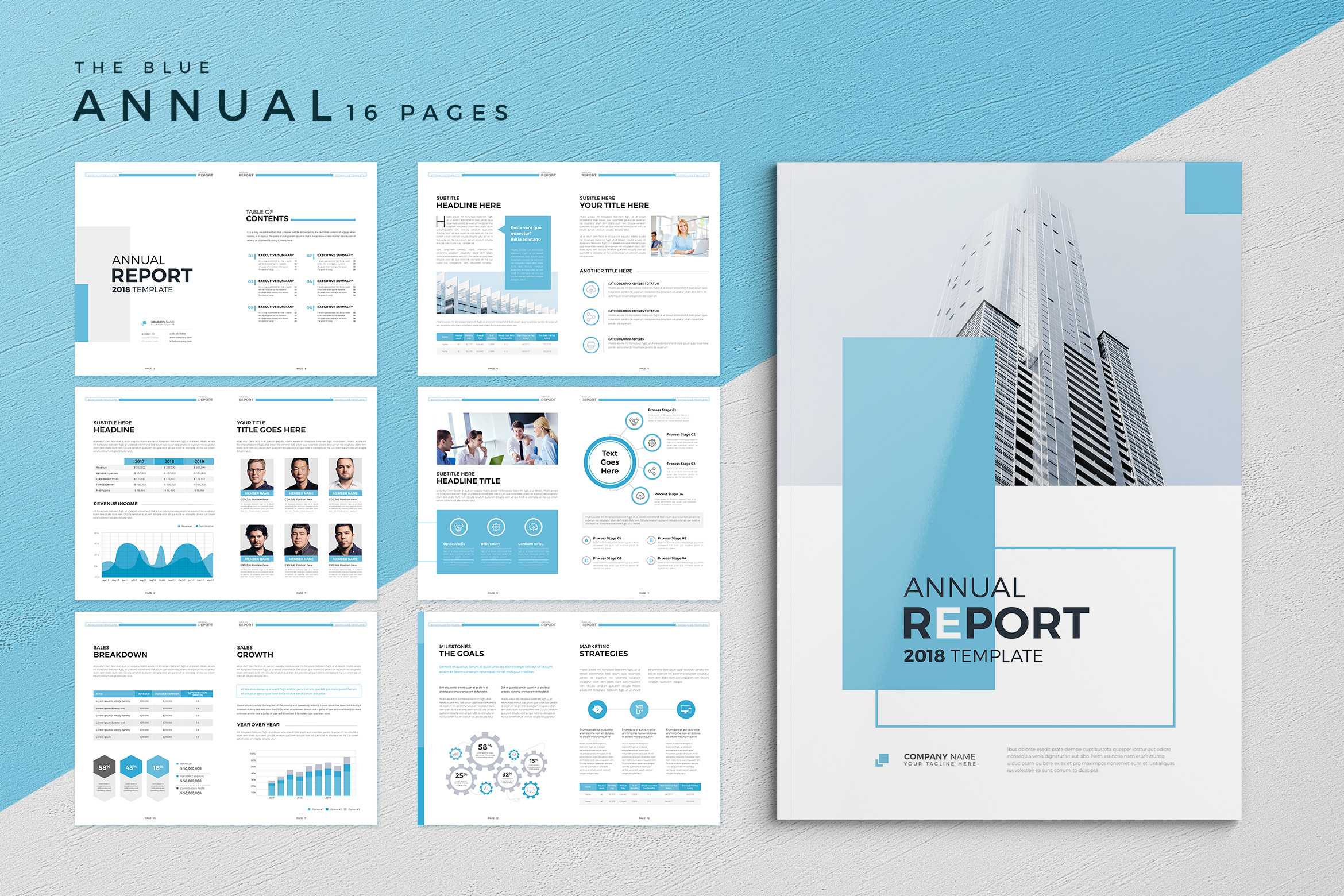 Annual Report Example – Dalep.midnightpig.co Throughout Summary Annual Report Template