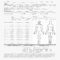 Autopsy Report Template - Calep.midnightpig.co inside Autopsy Report Template