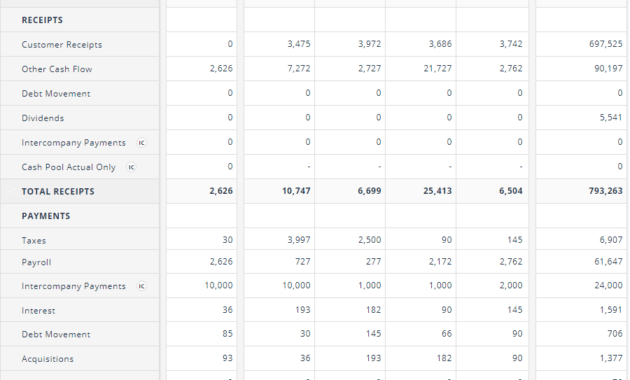 Cash Flow Forecasting Template with regard to Liquidity Report Template