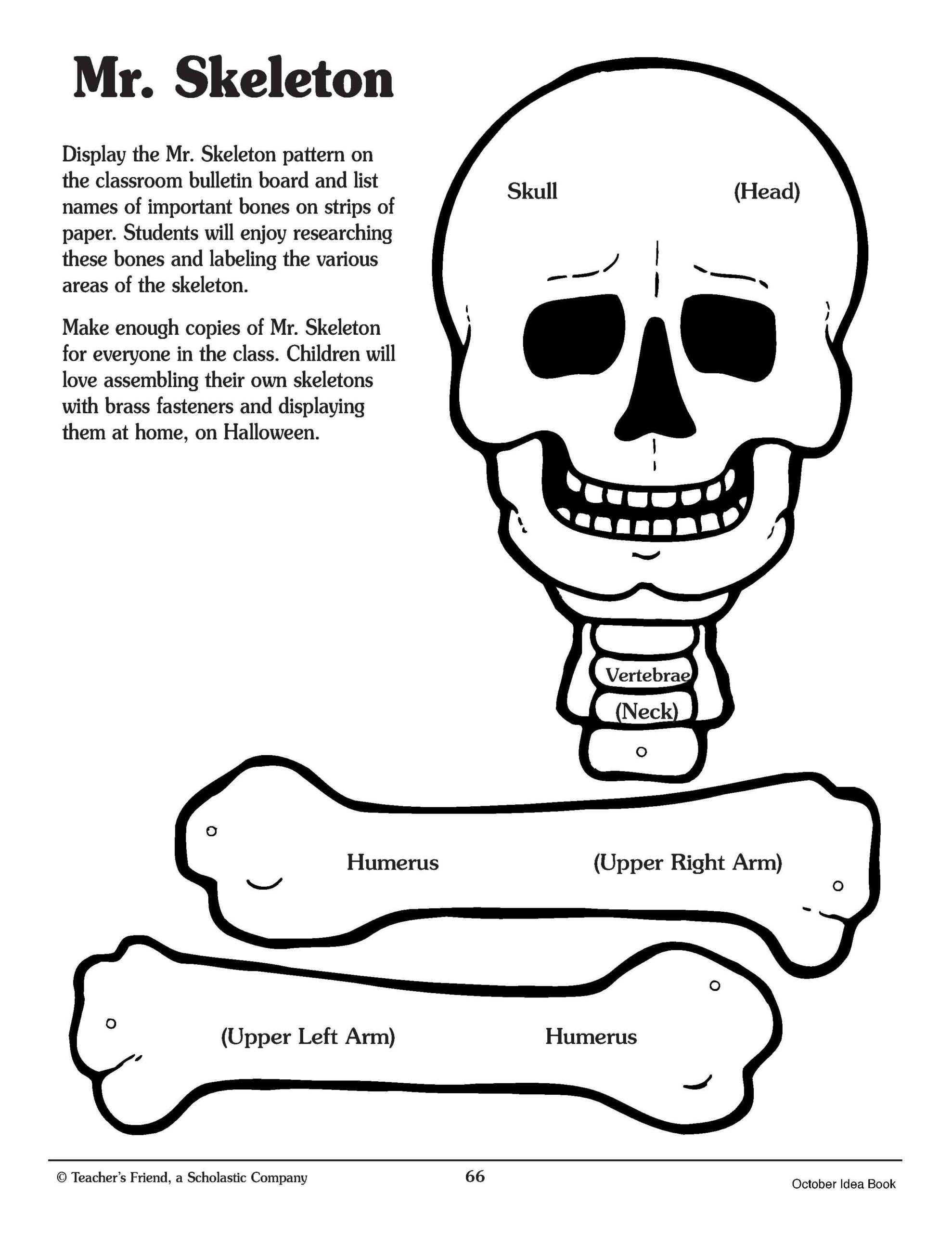 Crafty Symmetric Skeletons | Scholastic Within Skeleton Book Report Template