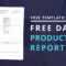 Download Free Daily Production Report Template for Wrap Up Report Template