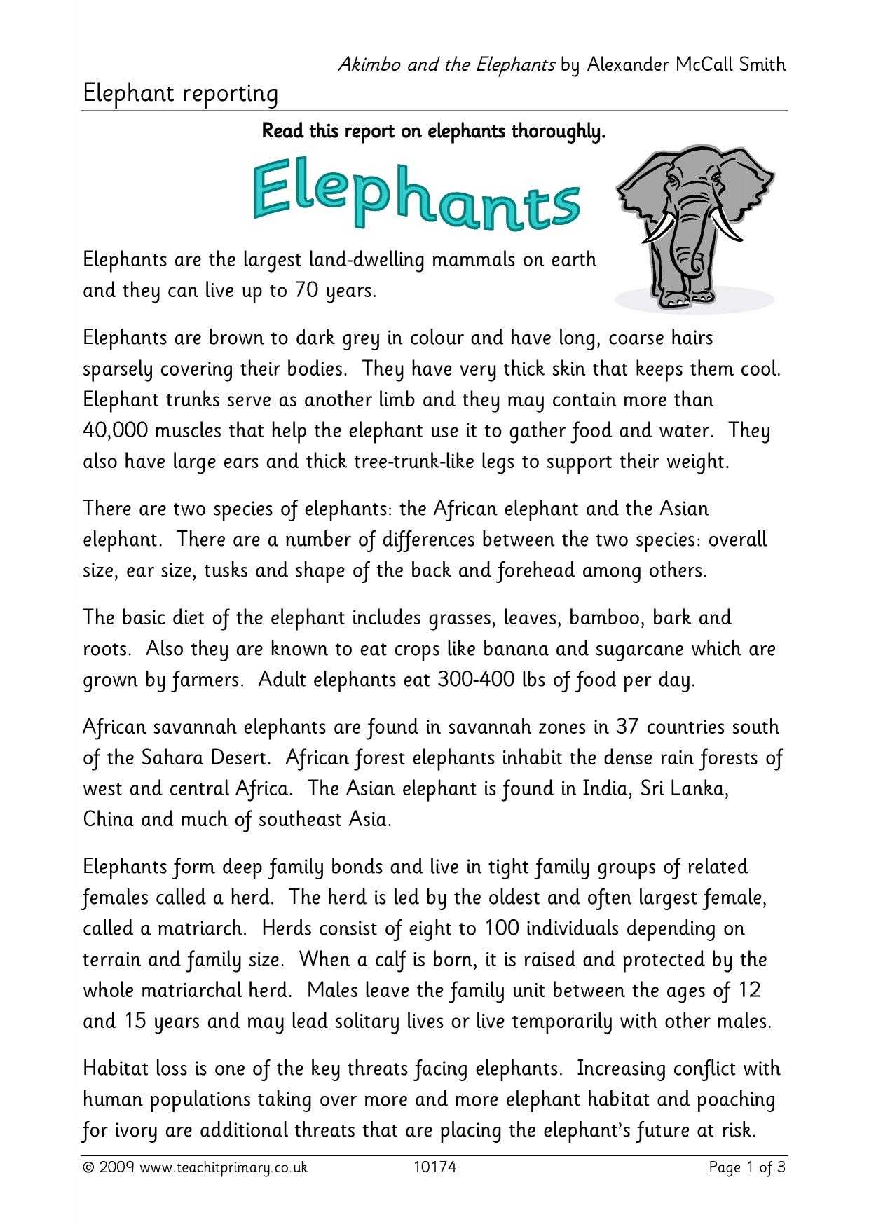 Elephant Report Writing Regarding Report Writing Template Ks1