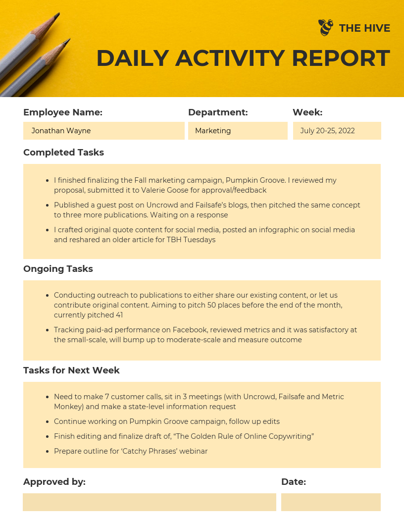 Employee Daily Activity Report Template With Regard To Daily Activity Report Template