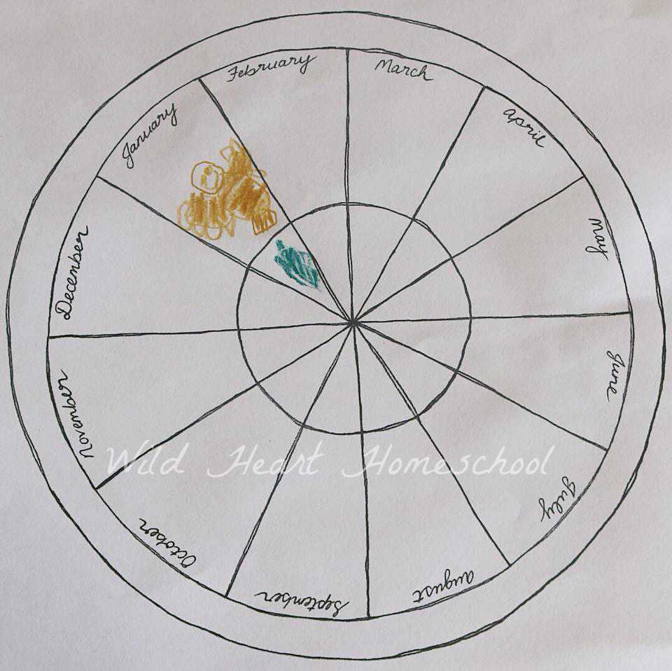 Free Phenology Wheel Template For Australia – Wild Heart Regarding Blank Wheel Of Life Template