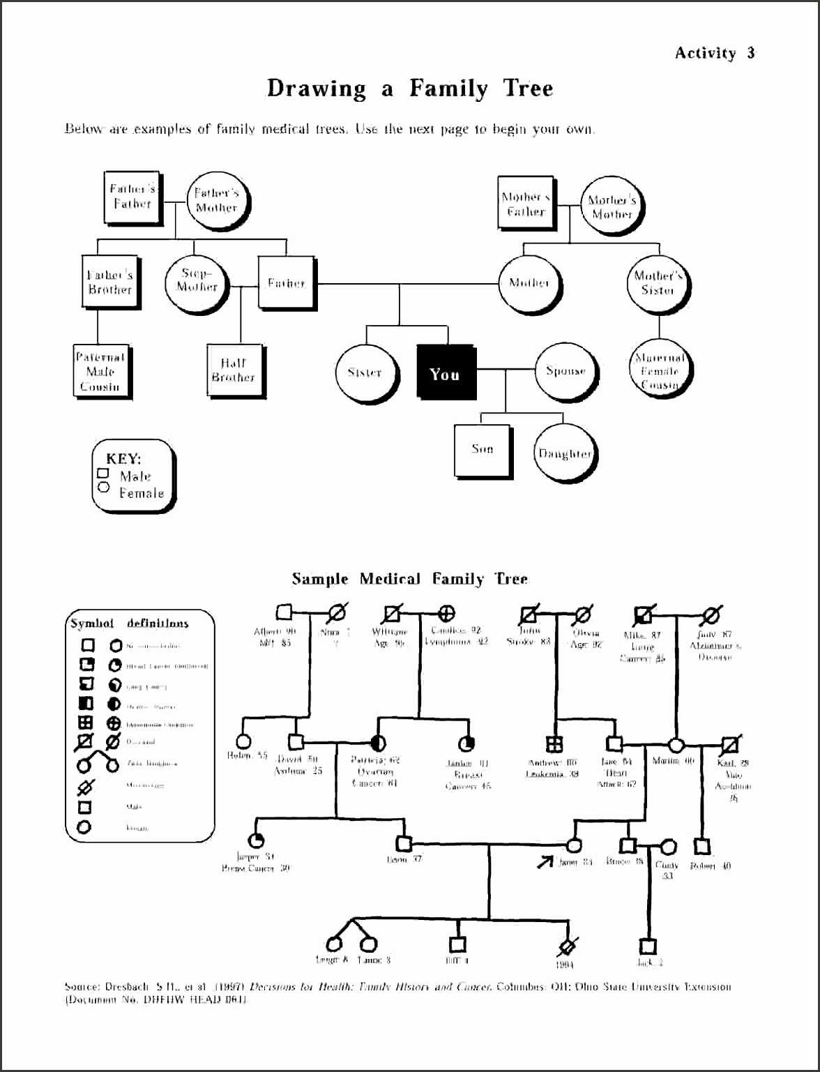 Genogram Worksheet | Printable Worksheets And Activities For inside Family Genogram Template Word Genogram Worksheet | Printable Worksheets And Activities For Inside Family Genogram Template Word