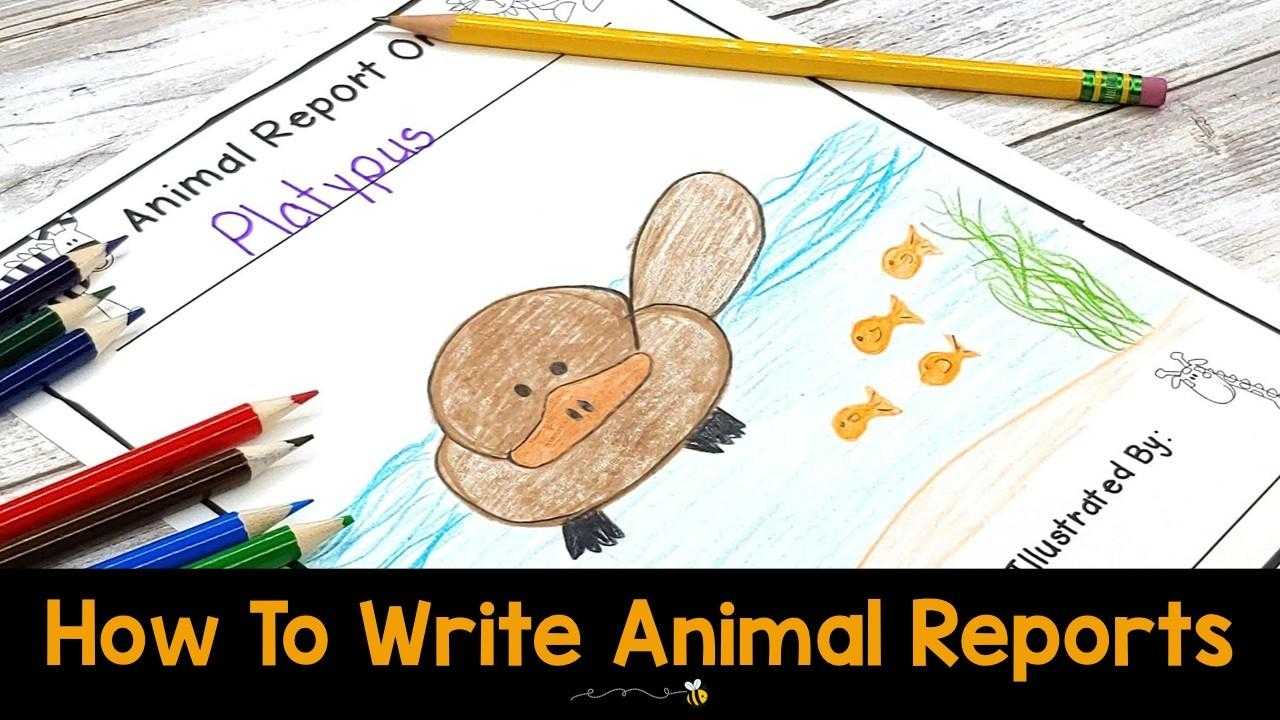 How To Easily Write Animal Reports With Kids In Animal Report Template
