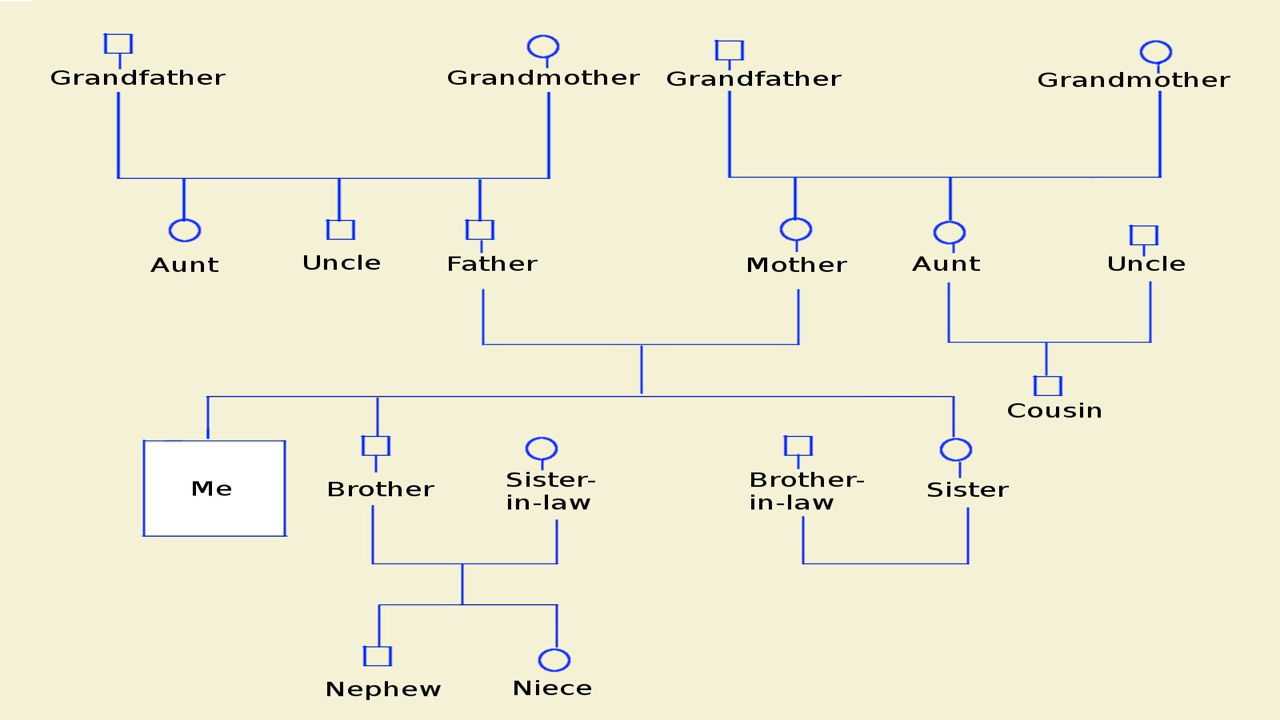 How To Make A Genogram Using Microsoft Word - Tech Spirited For Family Genogram Template Word