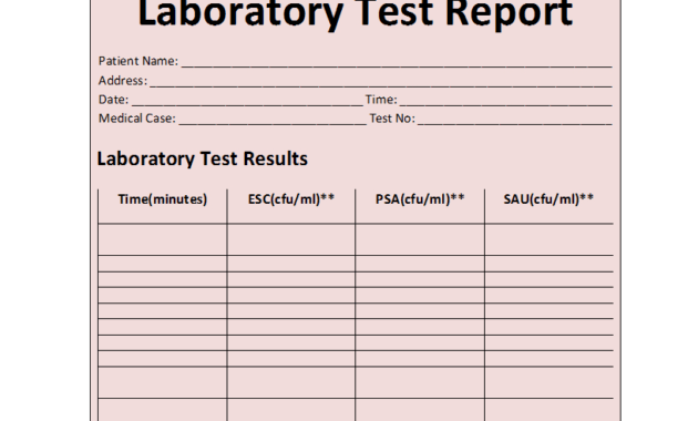 Laboratory Test Report Template throughout Test Result Report Template