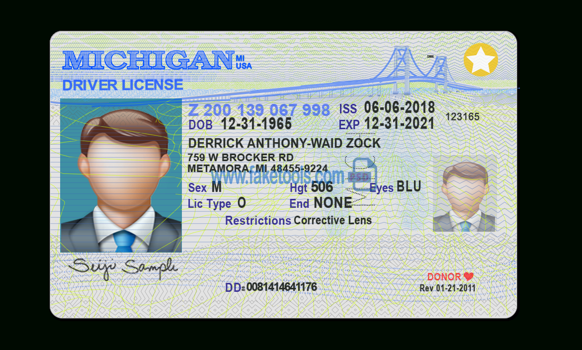 Michigan Driver License Psd Template For Blank Drivers License Template