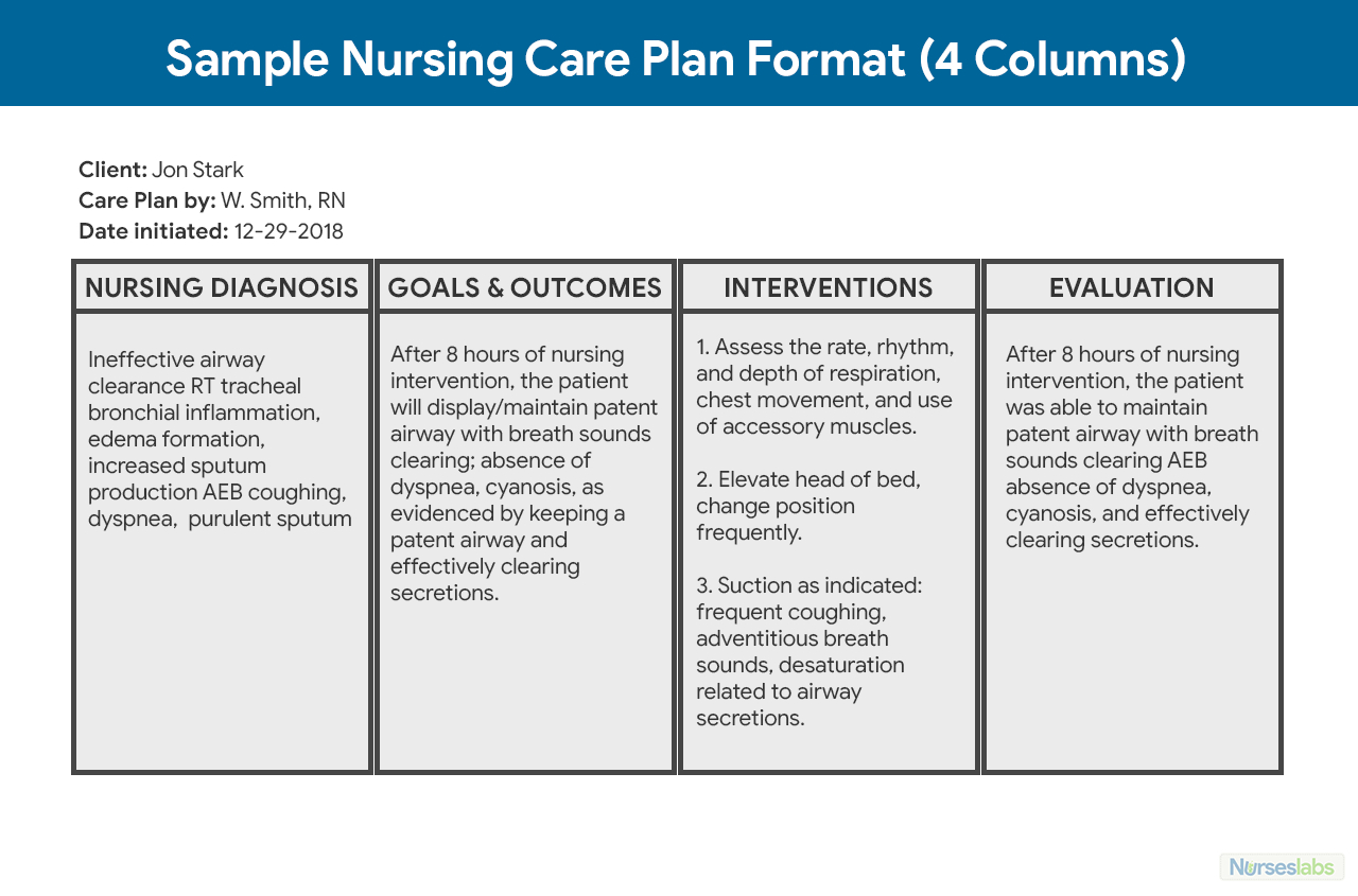 Nursing Care Plan Templates – Calep.midnightpig.co With Regard To Nursing Care Plan Templates Blank