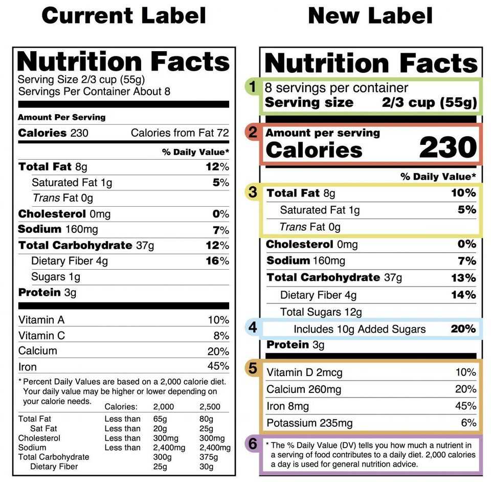 Nutrition Facts Template Word – Calep.midnightpig.co Throughout Nutrition Label Template Word