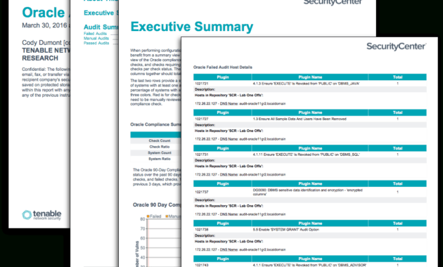 Oracle Audit Results - Sc Report Template | Tenable® with Security Audit Report Template