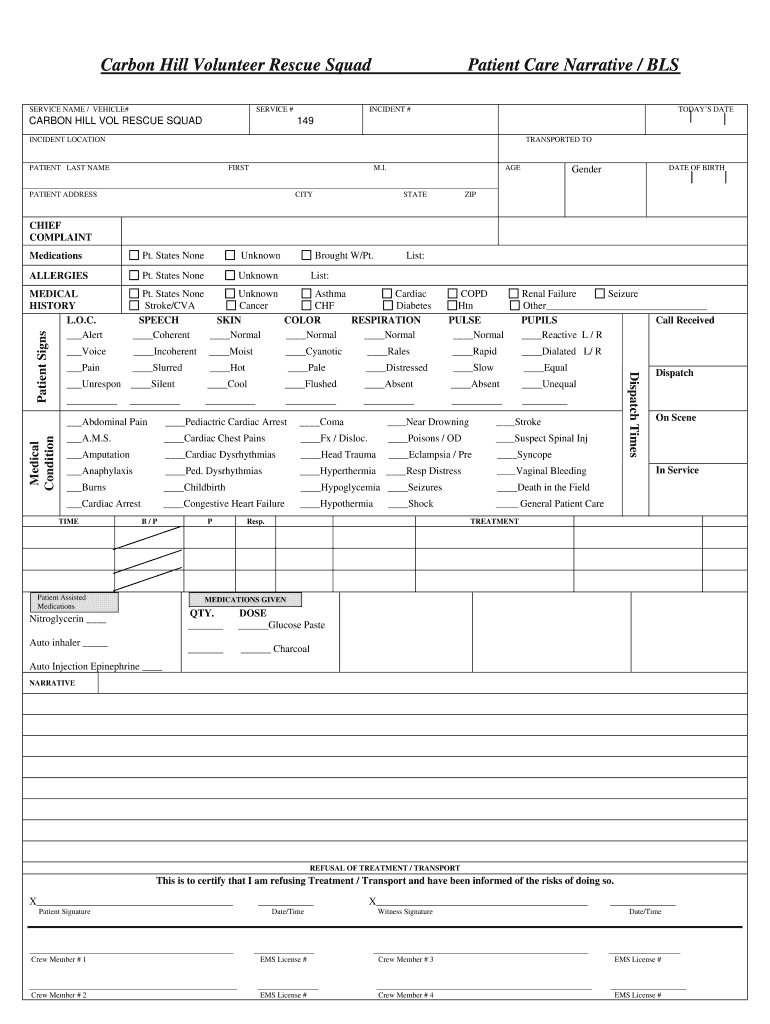 Patient Report Template – Calep.midnightpig.co For Charge Nurse Report Sheet Template
