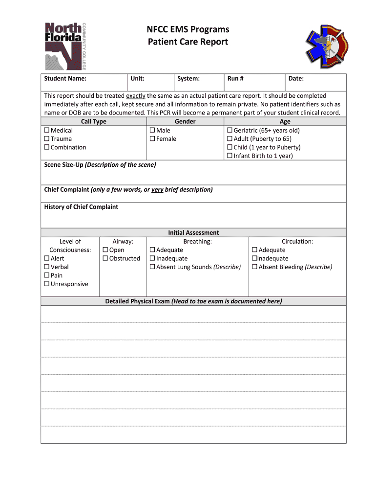 Patient Report Template – Calep.midnightpig.co Regarding Patient Care Report Template
