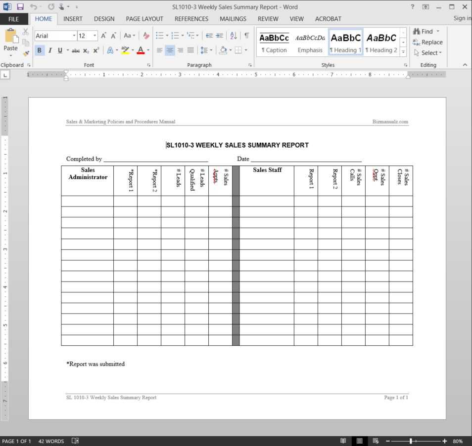 Salesman Report Template – Falep.midnightpig.co With Regard To Sales Trip Report Template Word