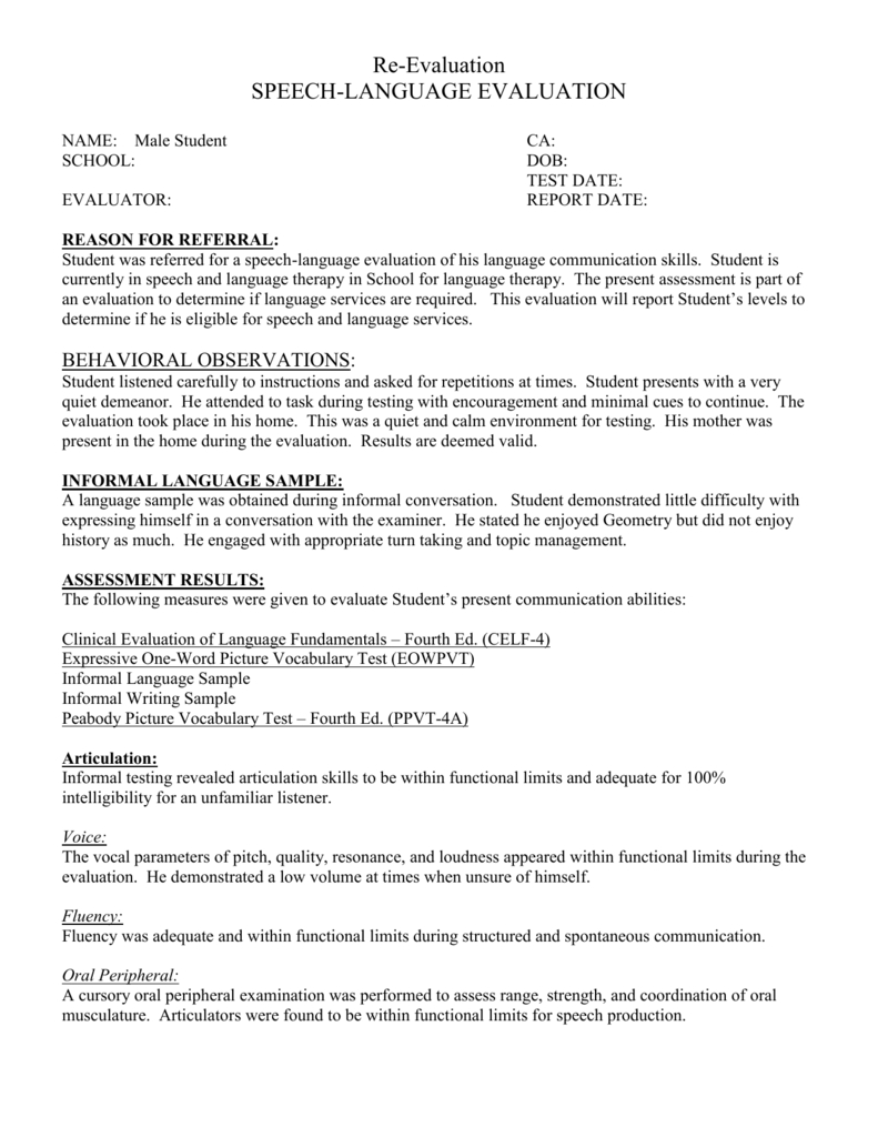 speech and language summary report