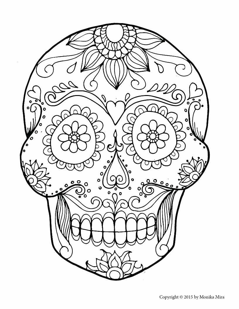 Sugar Skull Drawing Template At Paintingvalley | Explore Regarding Blank Sugar Skull Template