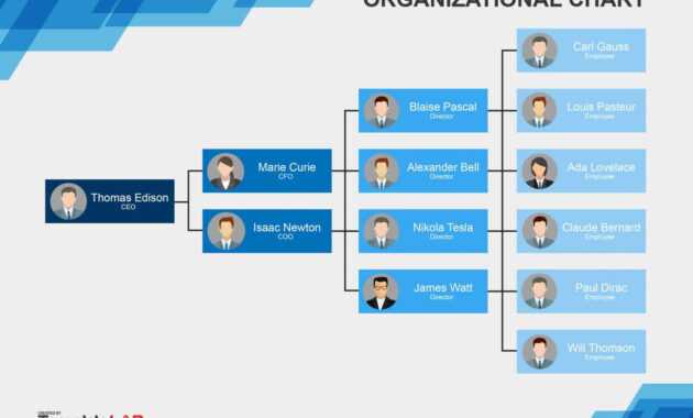 Template Organizational Chart Word - Dalep.midnightpig.co with Org Chart Template Word