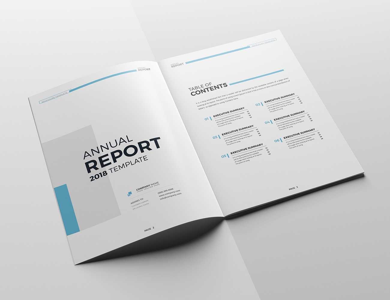The Blue Annual Report Inside Summary Annual Report Template
