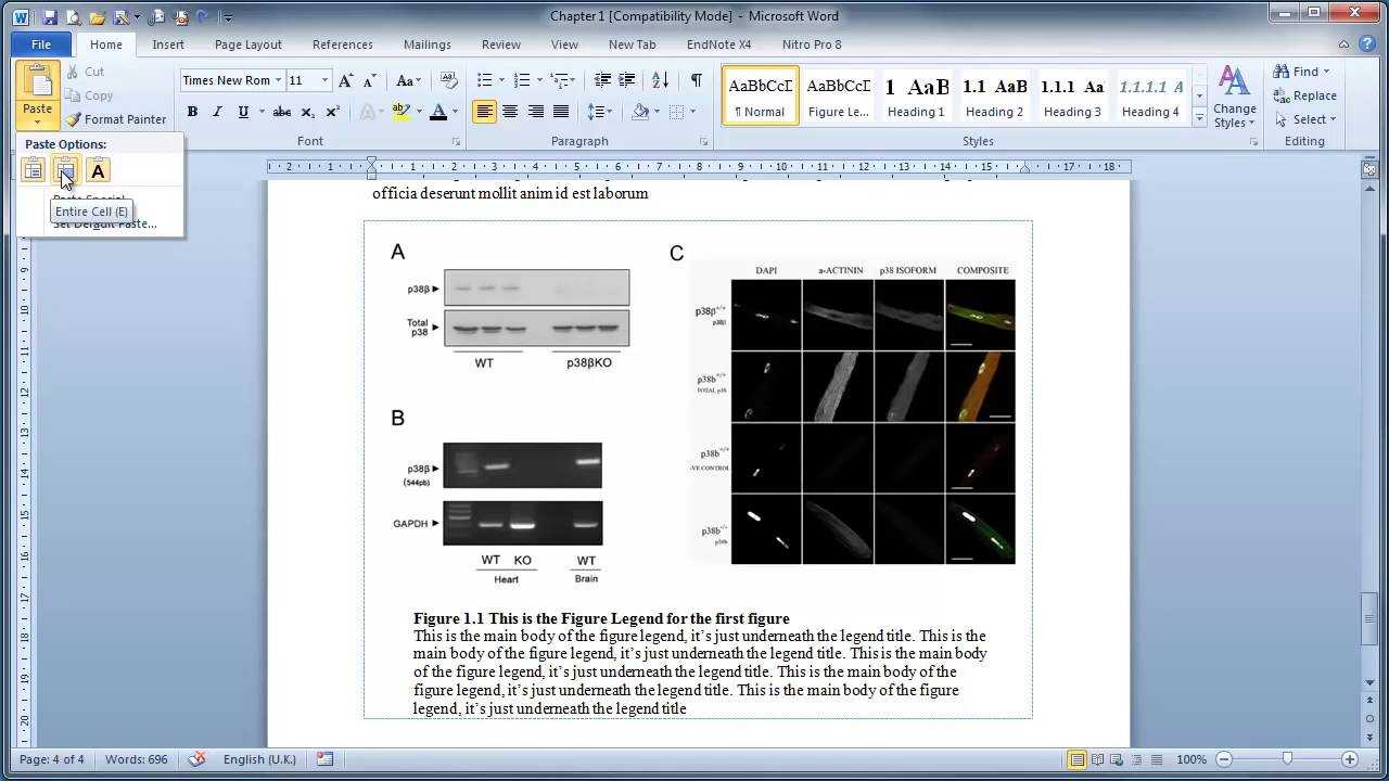 Thesis Writing In Microsoft Word :-Inserting Figures And Legends pertaining to Ms Word Thesis Template Thesis Writing In Microsoft Word : Inserting Figures And Legends Pertaining To Ms Word Thesis Template