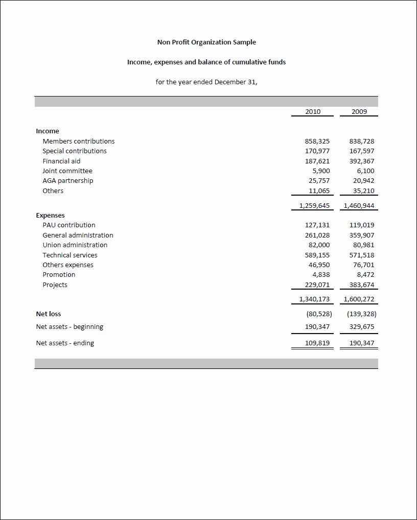 Treasurer S Report Template – Calep.midnightpig.co Regarding Non Profit Treasurer Report Template