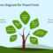 Tree Chart Diagram – Cuna.digitalfuturesconsortium With Blank Tree Diagram Template